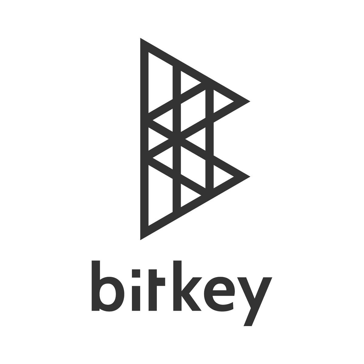 株式会社ビットキー
